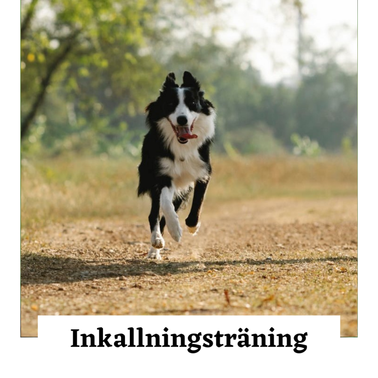Inkallningsträning
