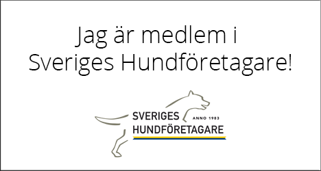 Jag är medlem i Sveriges Hundföretagare