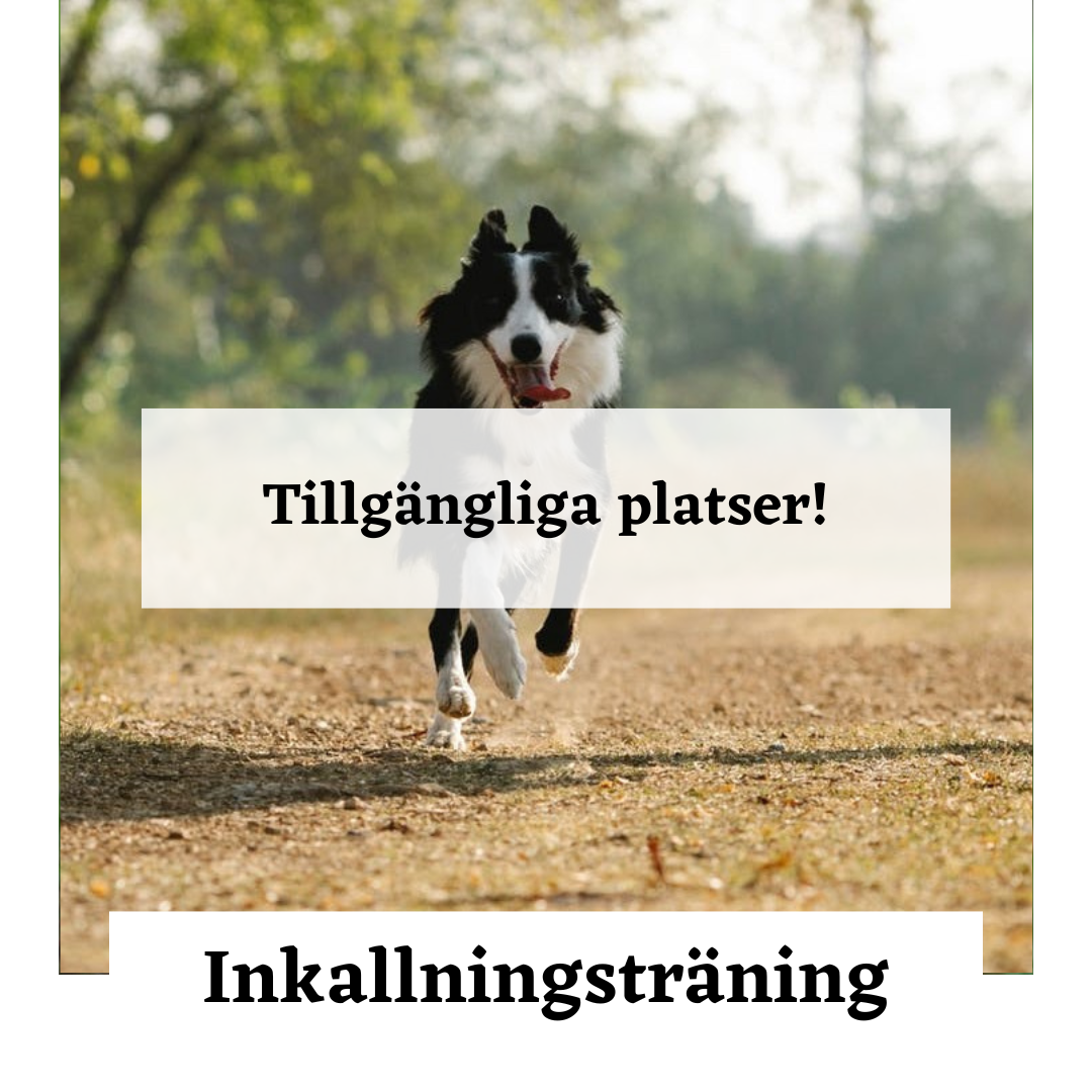 Inkallningsträning