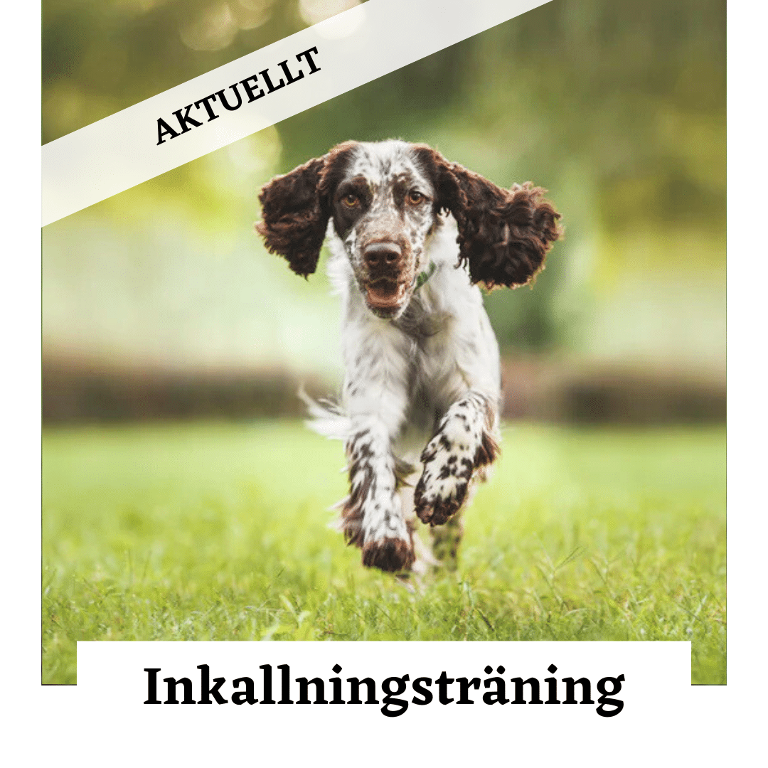 Inkallningsträning